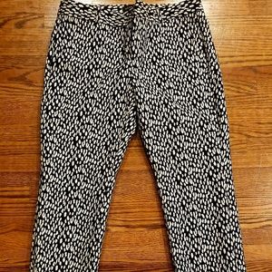 Banana Republic Dress Cuties!